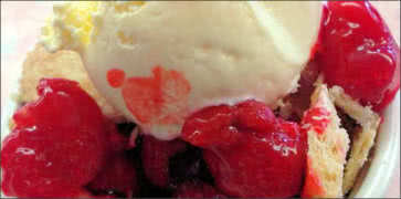 Fresh Raspberry Cobbler Dessert
