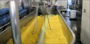 Cheese Making Vats
