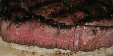 Peferectly Cooked Medium Rare Ribeye Steak