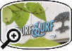 Turf Surf and Earth Restaurant