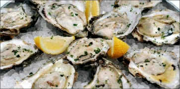 Oysters on Ice with Lemon Wedges