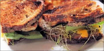 Grilled Mako Sandwich