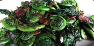 Fiddleheads, Ramps and Bacon Salad